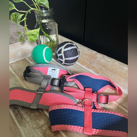Set of small harnesses - Picture 4 of 5
